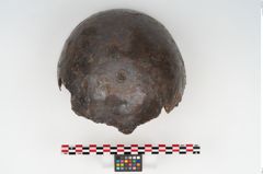 Foto von Eisenhelm (NHMW-PRAE-048323)
